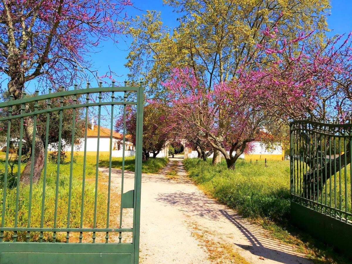 Casas Herdade Do Convento Da Serra 아우메이링 외부 사진