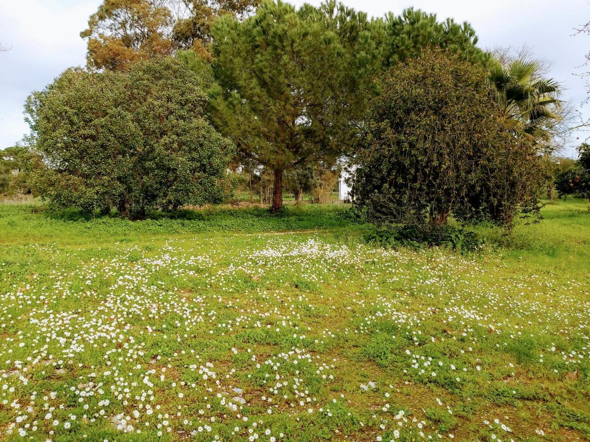Casas Herdade Do Convento Da Serra 아우메이링 외부 사진