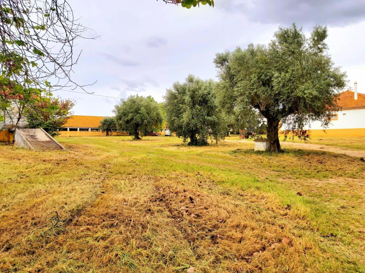 Casas Herdade Do Convento Da Serra 아우메이링 외부 사진