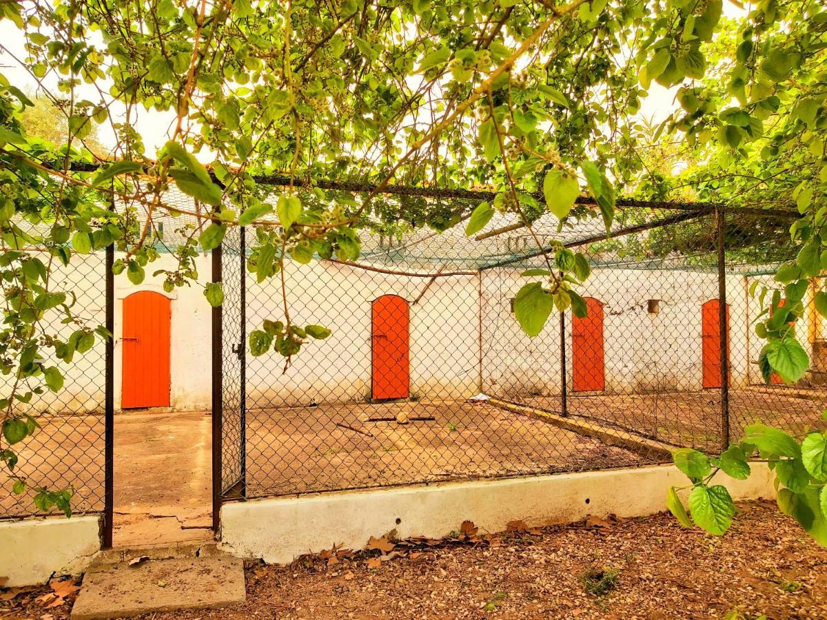 Casas Herdade Do Convento Da Serra 아우메이링 외부 사진