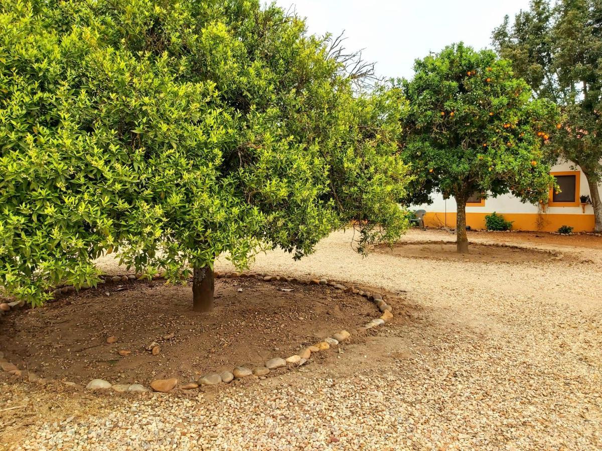 Casas Herdade Do Convento Da Serra 아우메이링 외부 사진