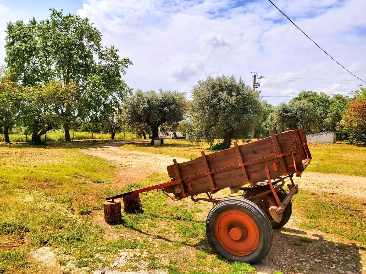 Casas Herdade Do Convento Da Serra 아우메이링 외부 사진