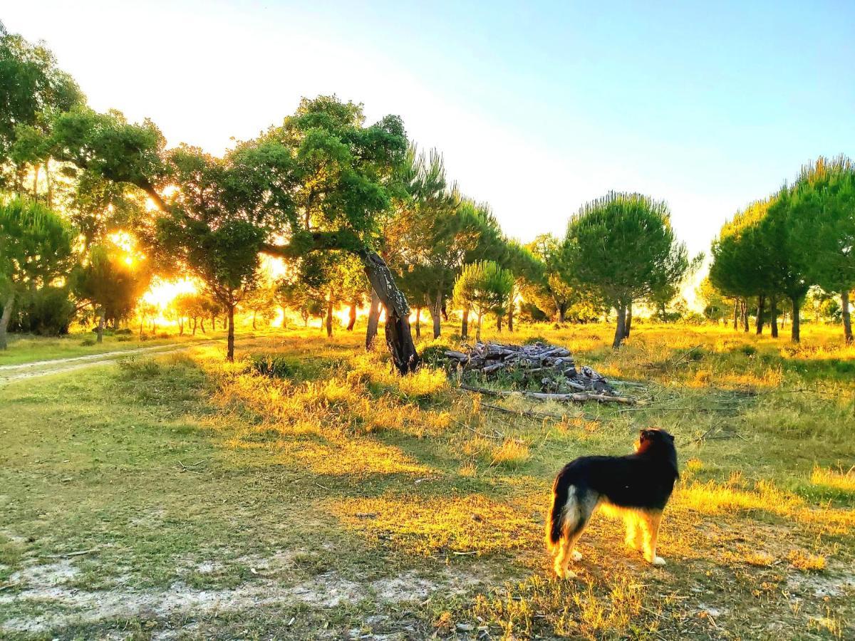 Casas Herdade Do Convento Da Serra 아우메이링 외부 사진