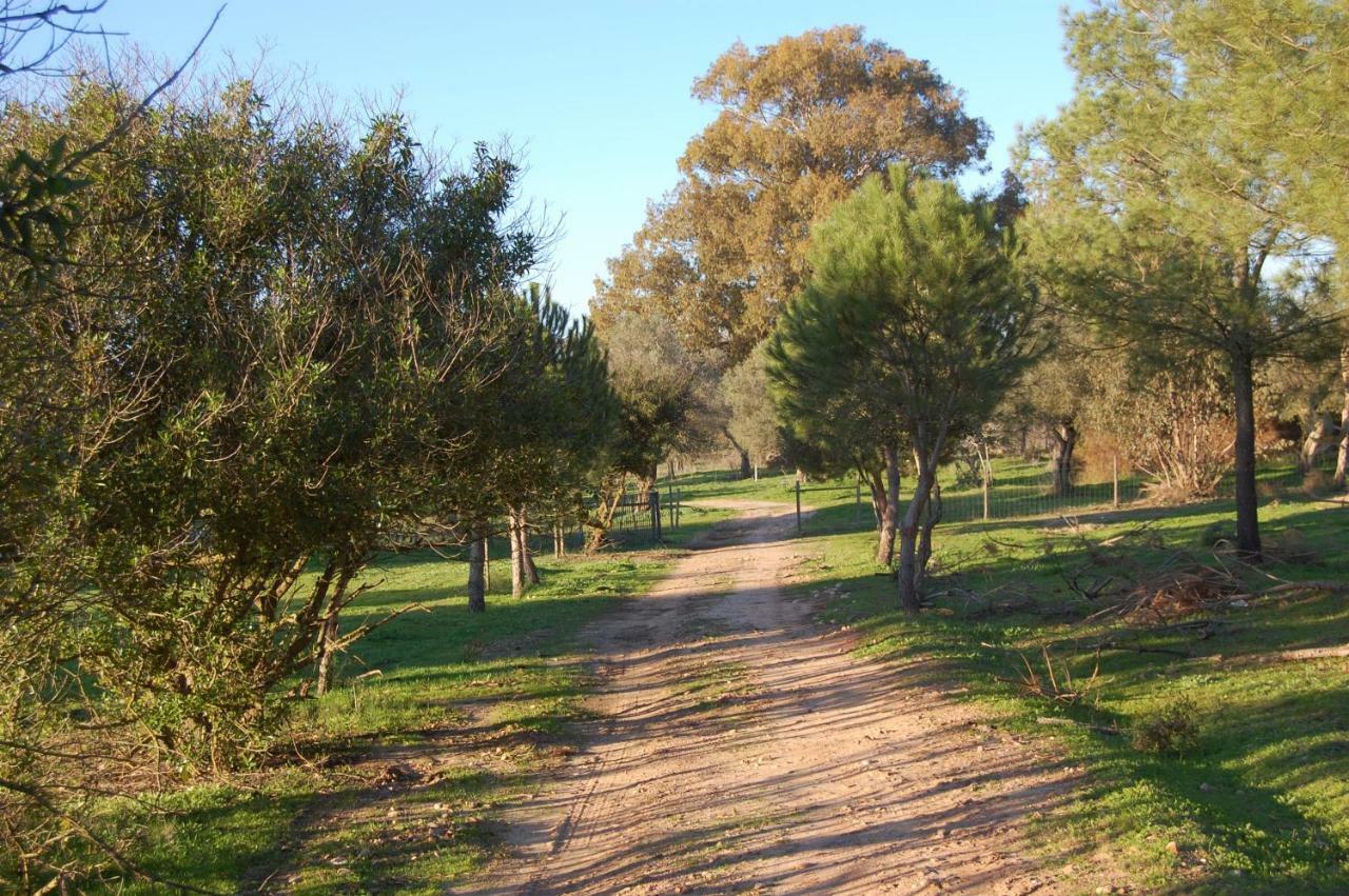 Casas Herdade Do Convento Da Serra 아우메이링 외부 사진