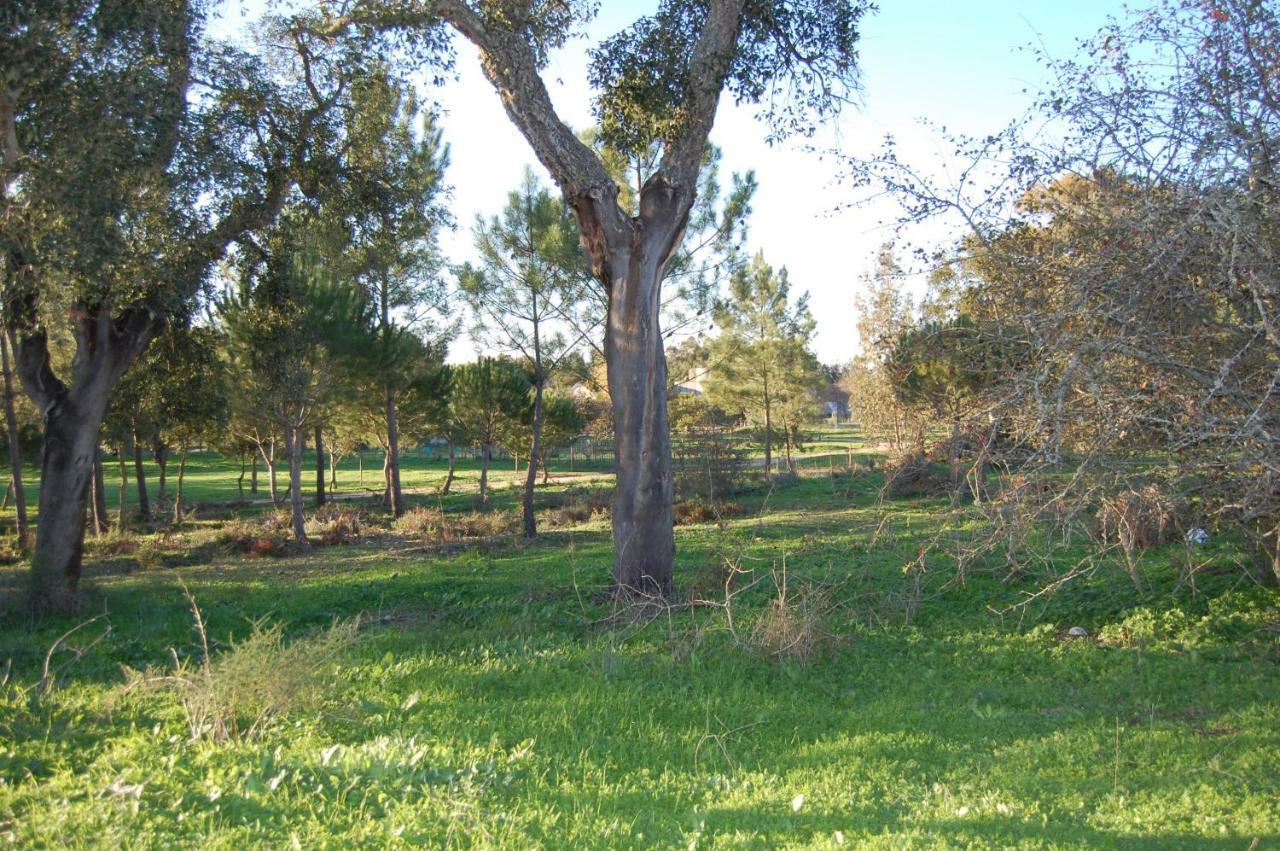 Casas Herdade Do Convento Da Serra 아우메이링 외부 사진